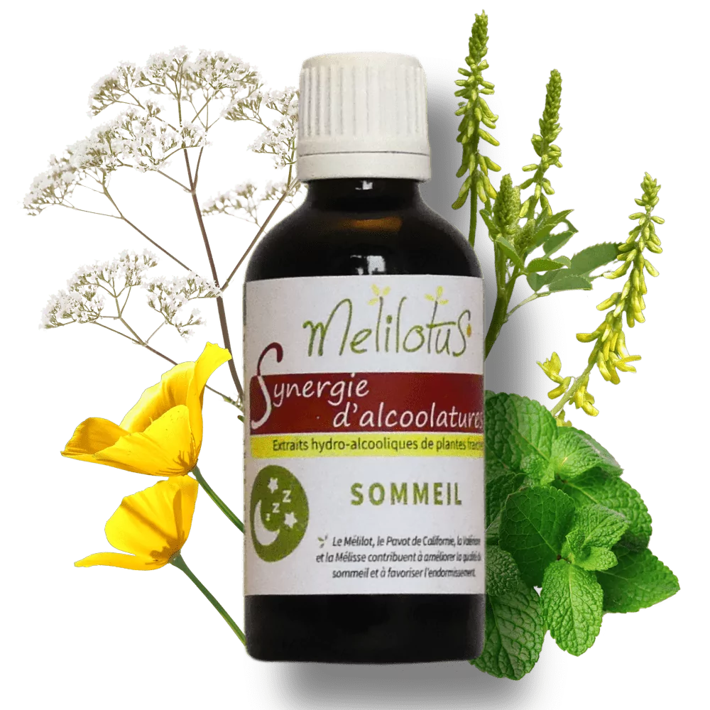 Alcoolature Synergie Sommeil