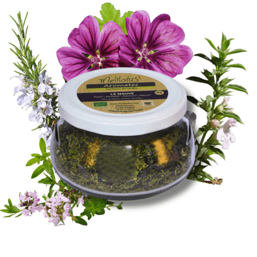 Aromate Le Mauve