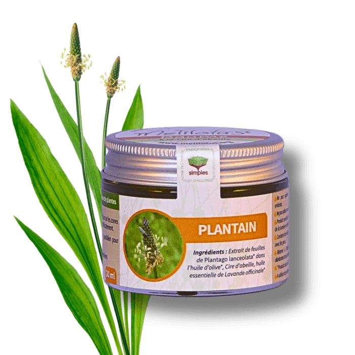 Baume Plantain