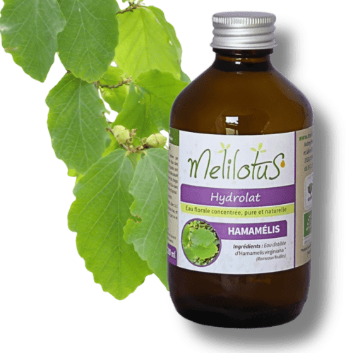 Hydrolat Hamamélis - flacon brun de 280mL