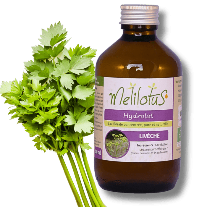 Hydrolat Livèche