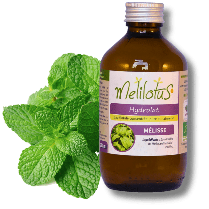 Hydrolat Mélisse