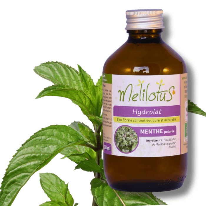 Hydrolat Menthe poivrée
