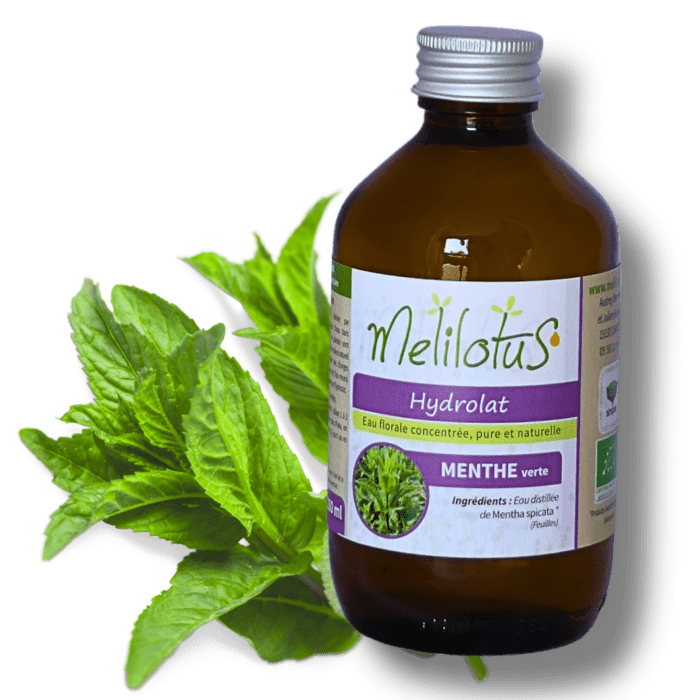 Hydrolat Menthe verte