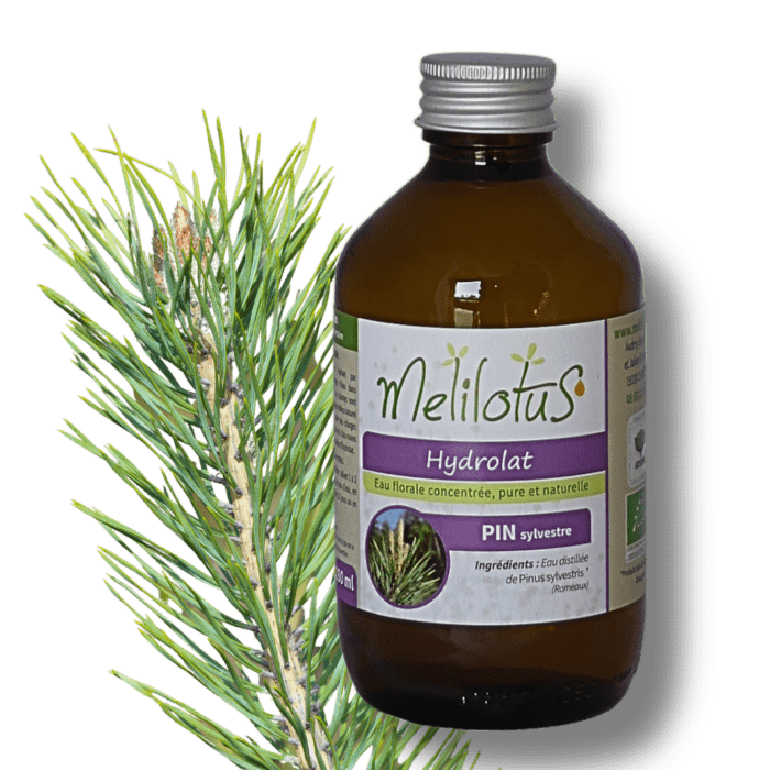 Hydrolat Pin sylvestre