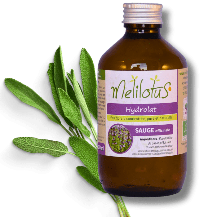 Hydrolat Sauge officinale