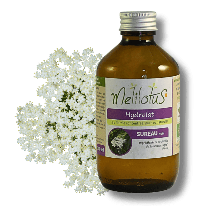 Hydrolat Sureau noir