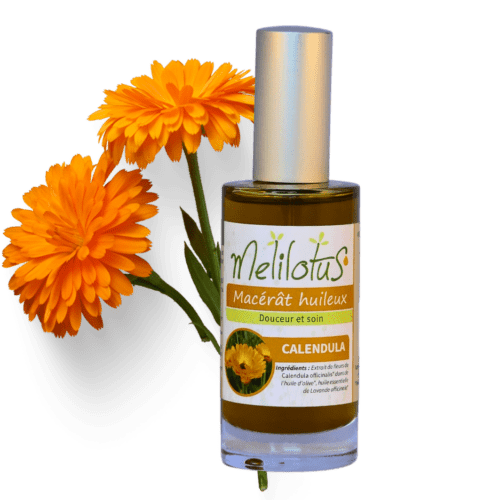 Macérat huileux Calendula
