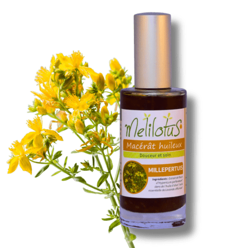 Macérat huileux Millepertuis
