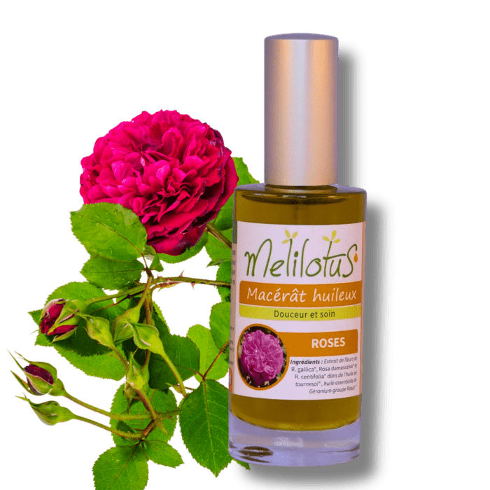 Macérat huileux Roses