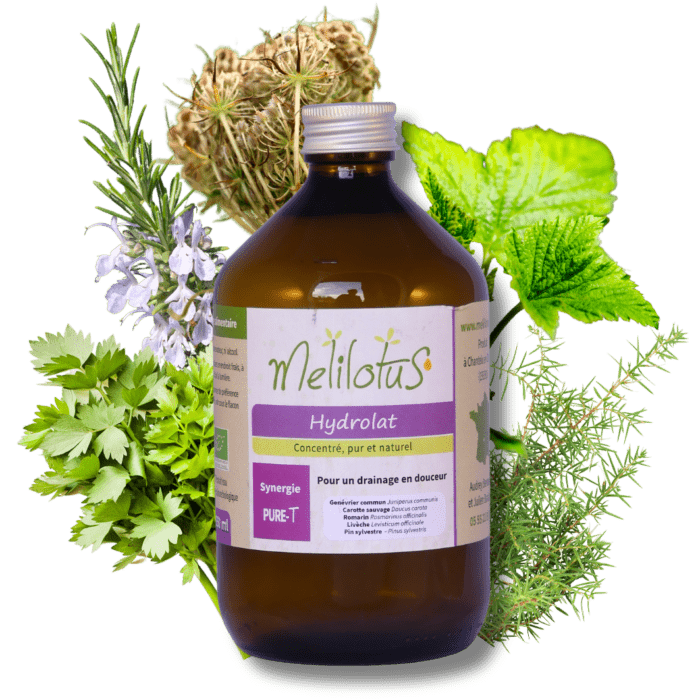 Hydrolat Synergie Pure-T