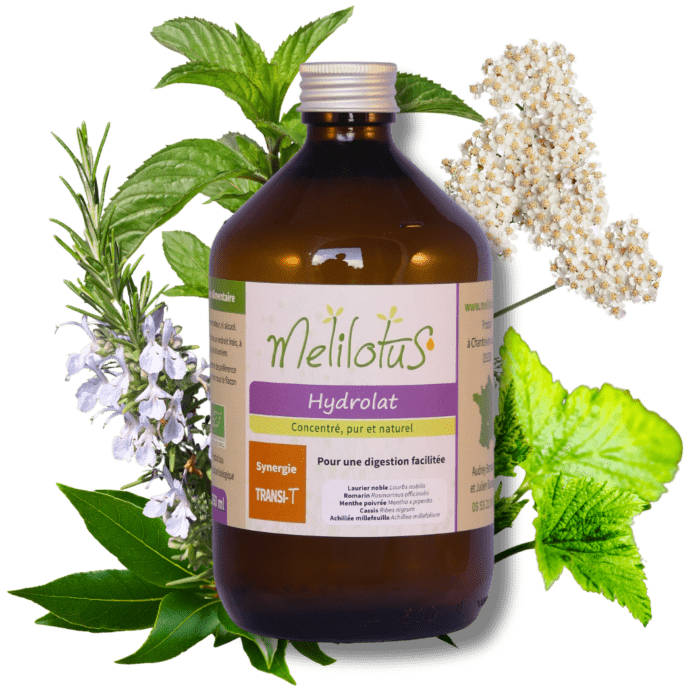 Hydrolat Synergie Transi-T