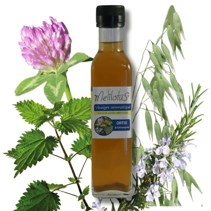 Vinaigre Ortie et Cie