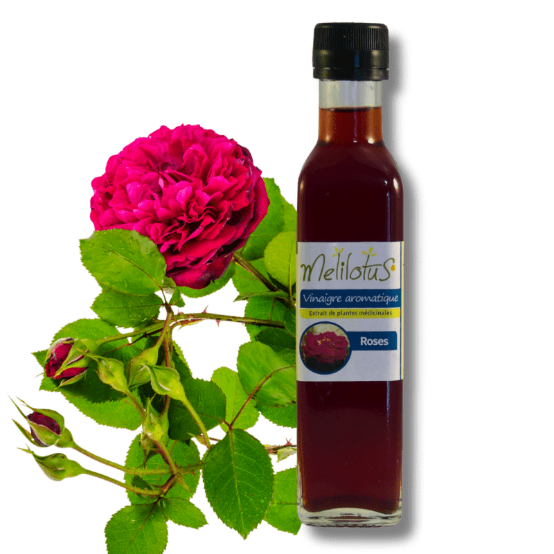 Huile Essentielle De Livèche (Levisticum Officinale) - Pure Et Naturelle