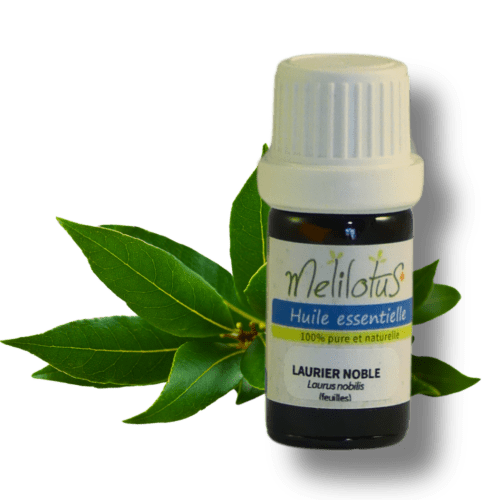 Huile essentielle Laurier noble