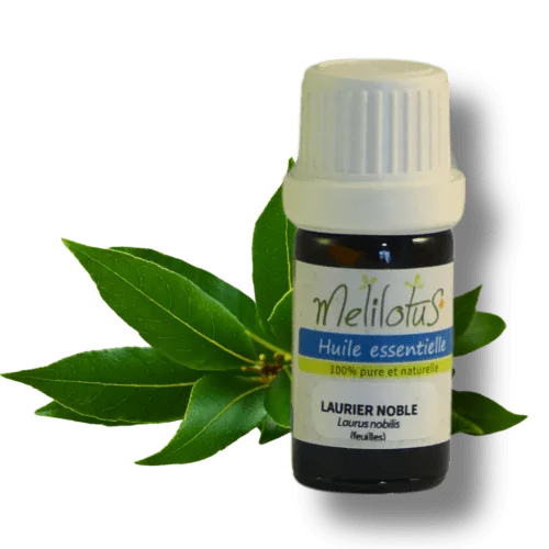 Huile essentielle Laurier noble