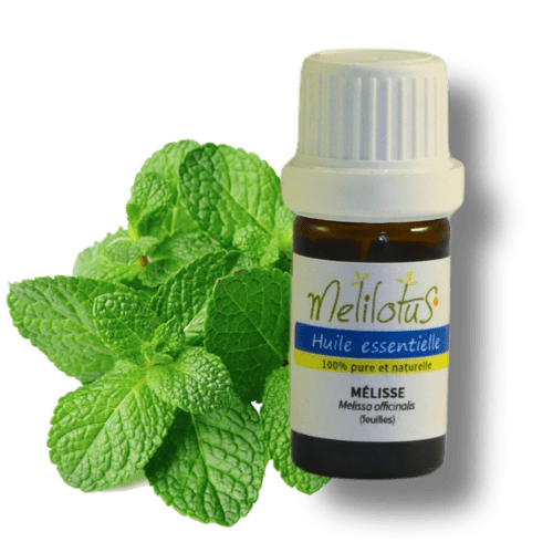 Huile essentielle Mélisse