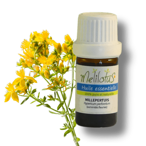 Huile essentielle Millepertuis