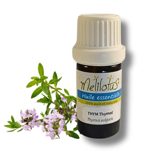 Huile essentielle Thym (Carvacrol/Thymol)