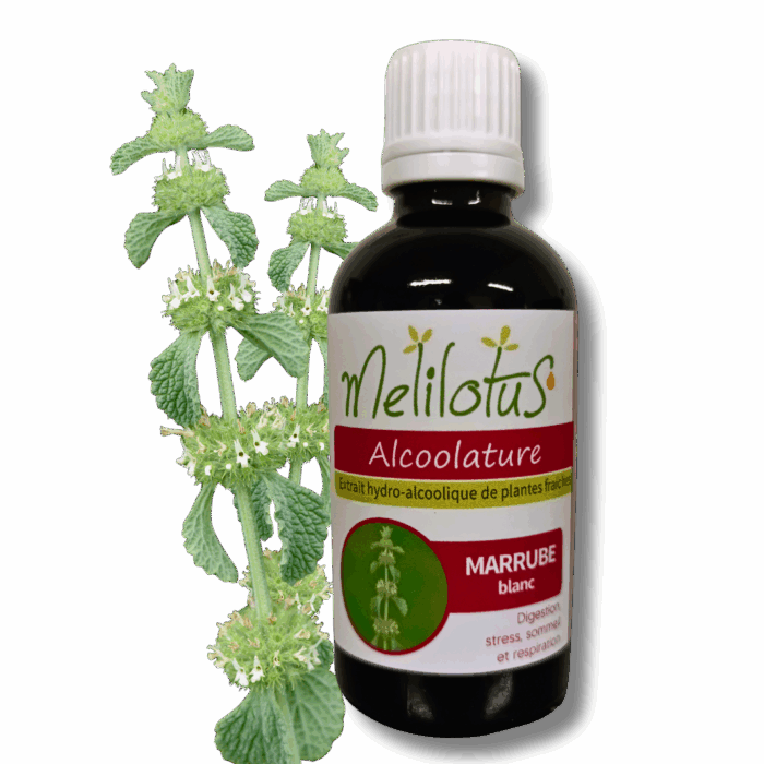 Alcoolature Marrube blanc